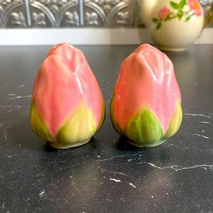 Franciscan Desert Rose Salt and Pepper Shakers